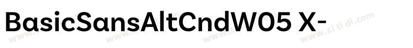BasicSansAltCndW05 X字体转换 BasicSansAltCndW05 X字体转换
